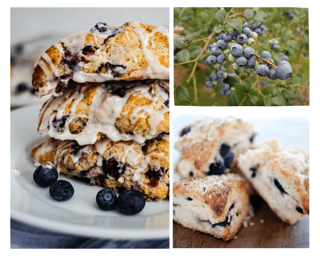 Easy Vegan Blueberry Scones easy vegan blueberry scones