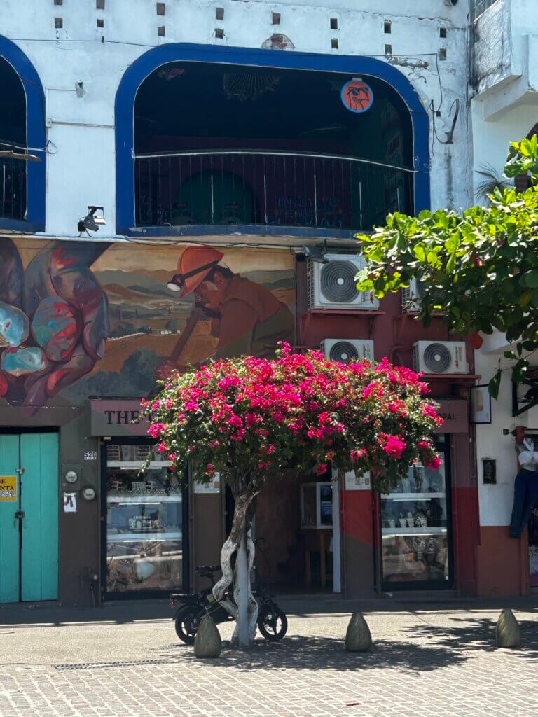 Our Vegan Family Airbnb Stay in Puerto Vallarta Our Vegan Family Airbnb Stay in Puerto Vallarta