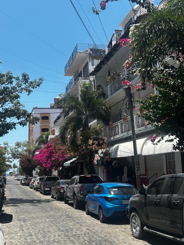 Our Vegan Family Airbnb Stay in Puerto Vallarta Our Vegan Family Airbnb Stay in Puerto Vallarta
